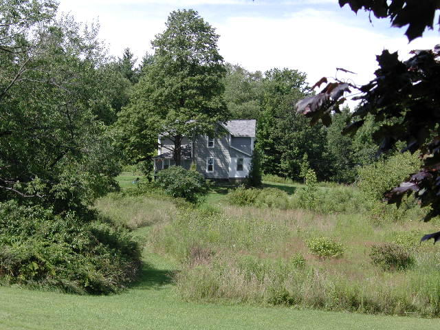 10-195.jpg