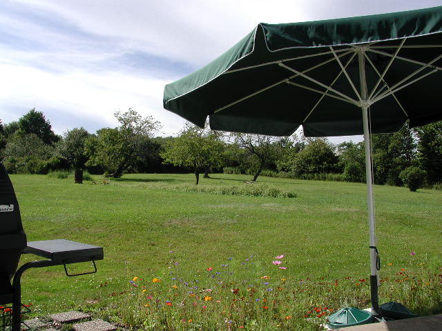 10-203.jpg