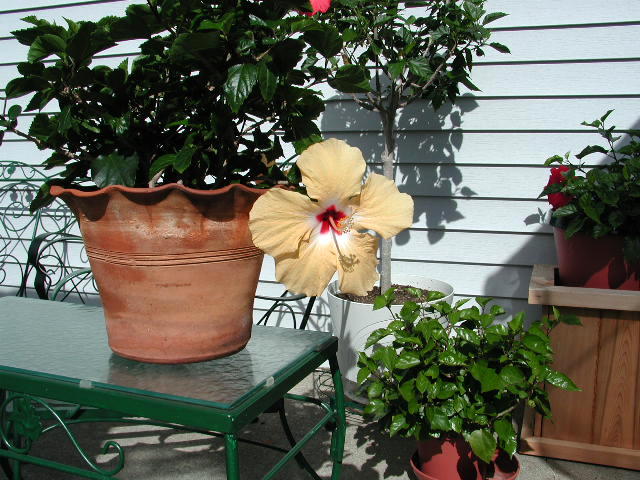 10-205.jpg