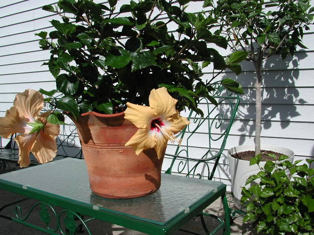 10-208.jpg