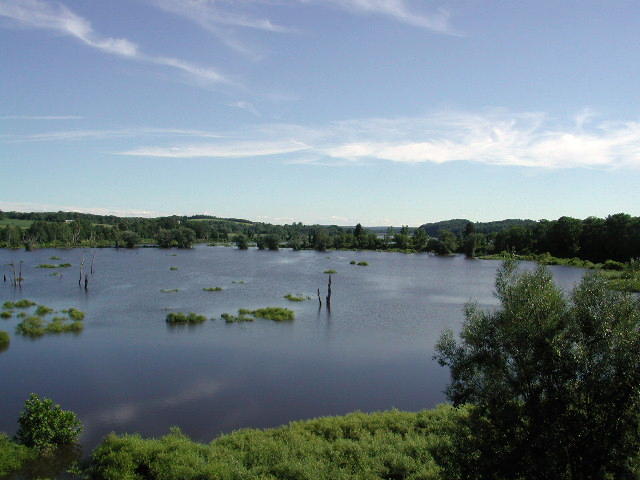 10-209.jpg