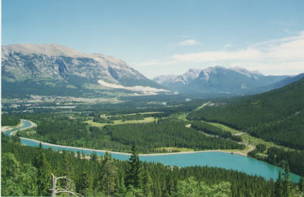 alberta12.jpg