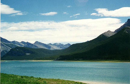 alberta13.jpg