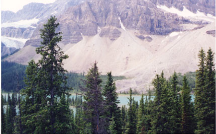 alberta4.jpg