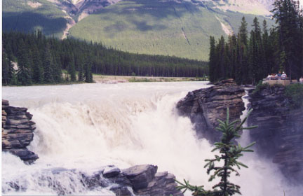 alberta5.jpg