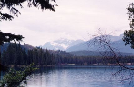alberta6.jpg