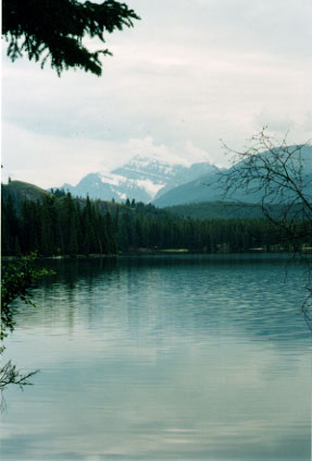 alberta7.jpg