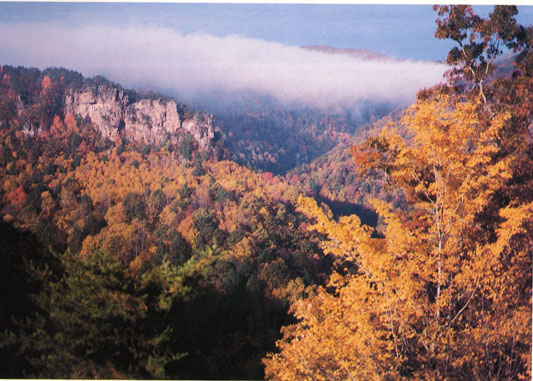 A sunrise; Actual size=240 pixels wide