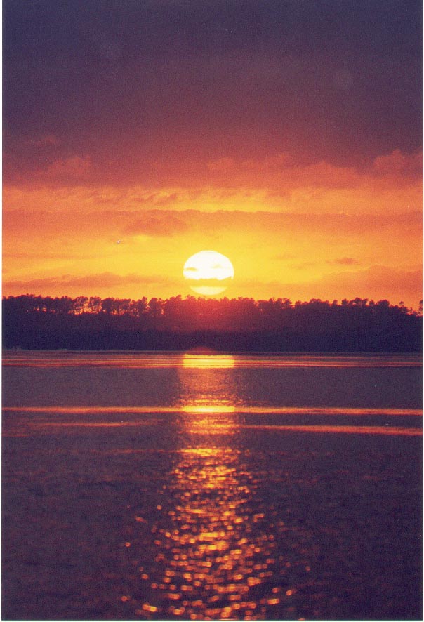 corroliasunset7-99.jpg