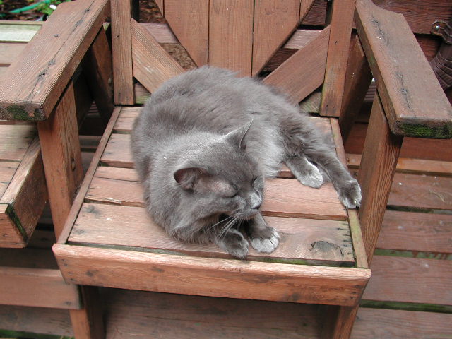 claude5-2000.jpg