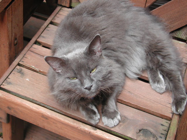 epsn0006.jpg