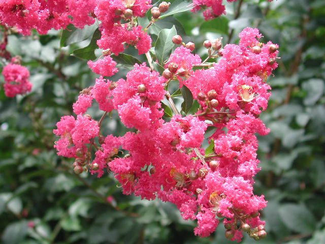 epsn0010.jpg