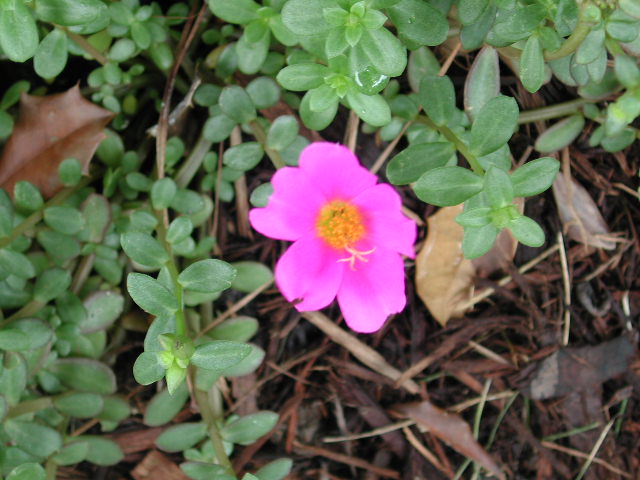 epsn0011.jpg