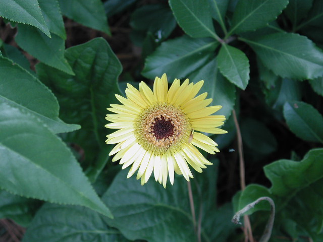 epsn0014.jpg