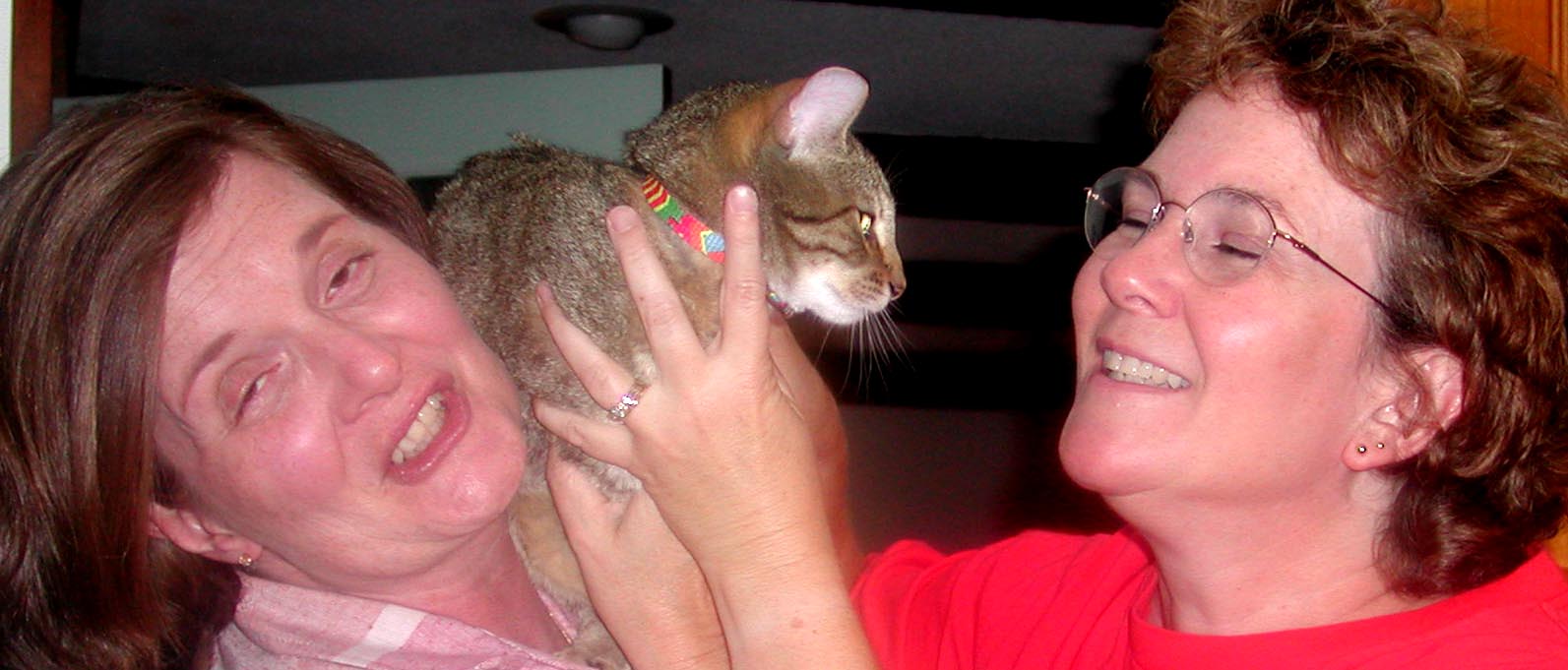 jeanieangiecat22.jpg