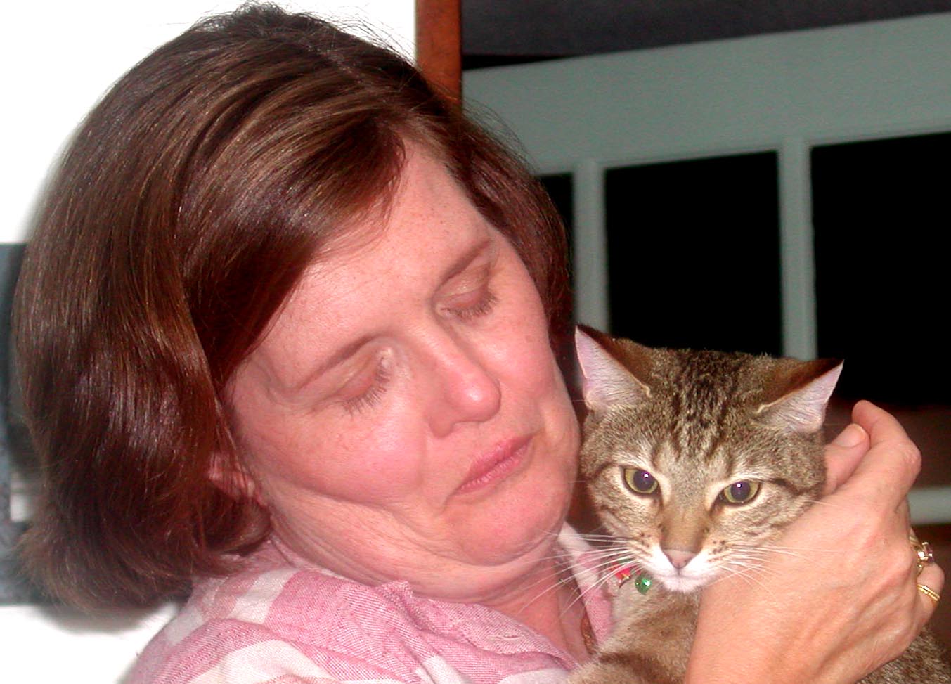 jeaniecat22.jpg