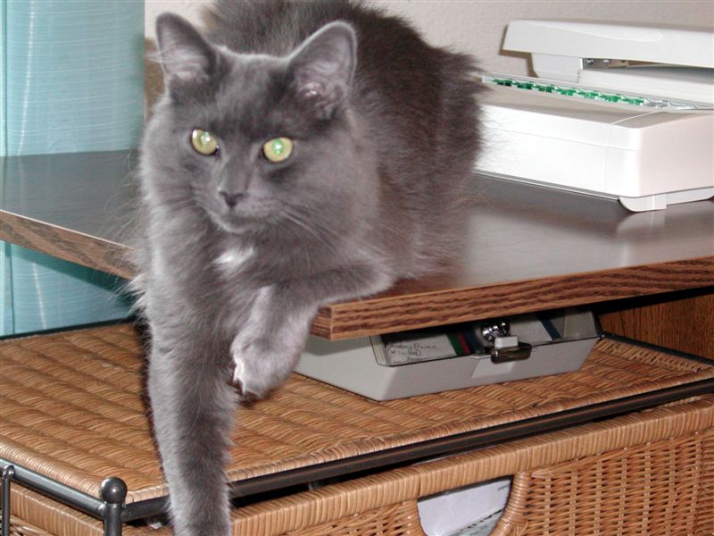 stanleyb6-2002.jpg