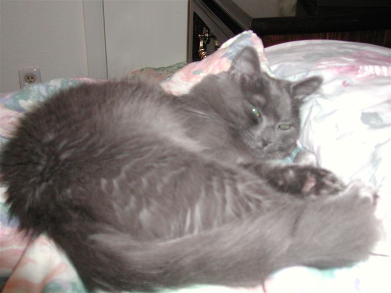stanleyjune2002.jpg